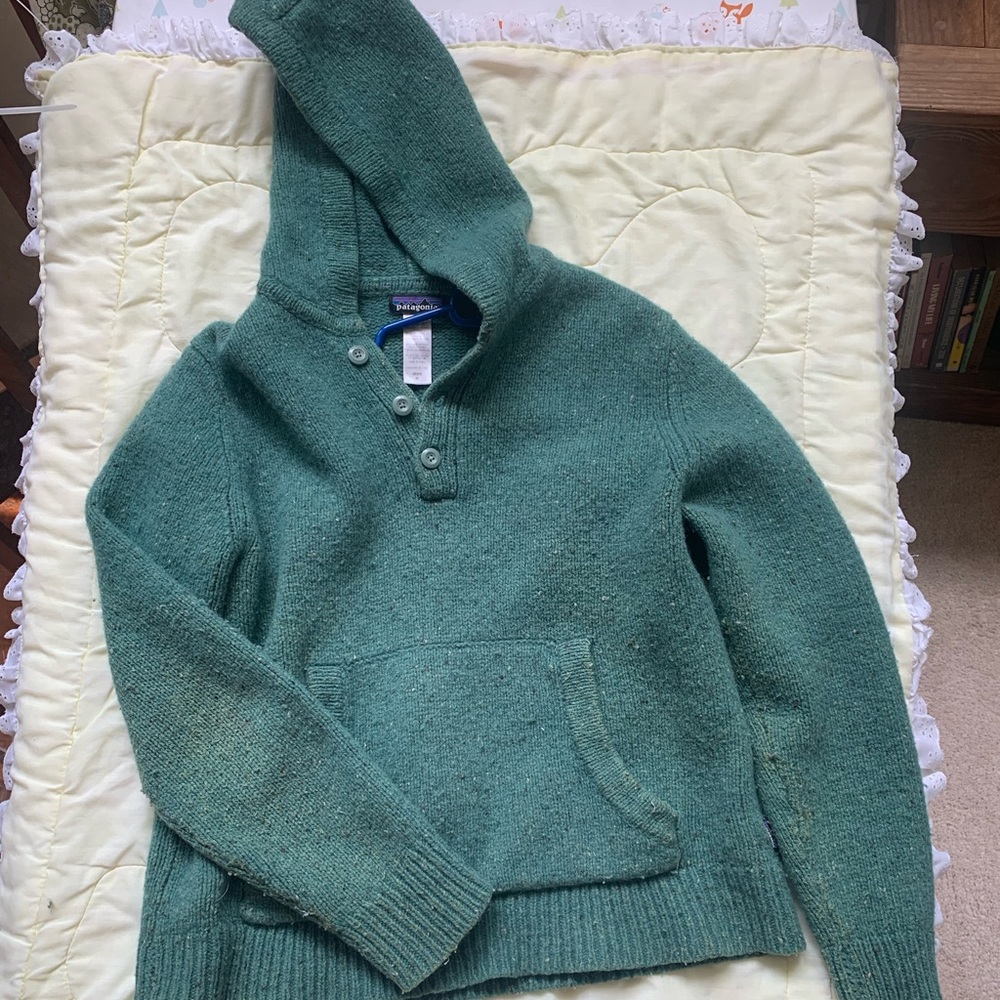 Patagonia green hooded sweater